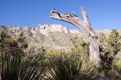 23_McKittrick Canyon_2